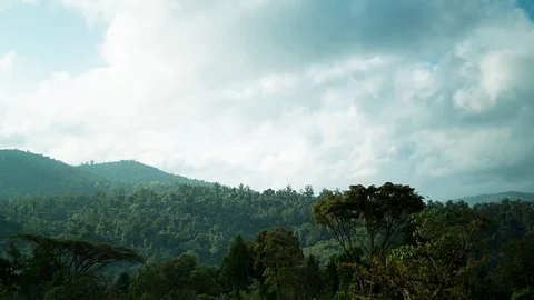 Clouds &amp; forest Ethiopia time-lapse Stock Footage 79688081