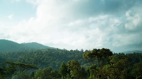 Clouds &amp; forest Ethiopia time-lapse Stock Footage 79691729
