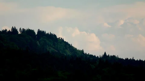 Clouds Forest fast.mp4 Stock Footage 29726640