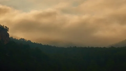 Clouds at the forest Time-Lapse nature background Video stock 92157301