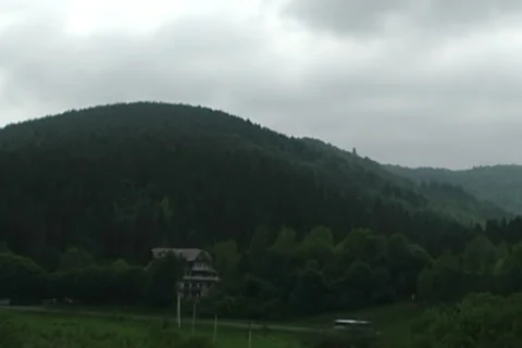 Clouds, forest,beauty Stock Footage 5695273