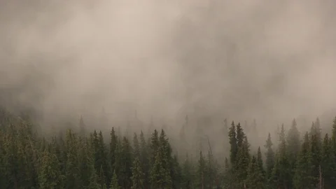 Clouds forming above trees 04 스톡 동영상 83098369