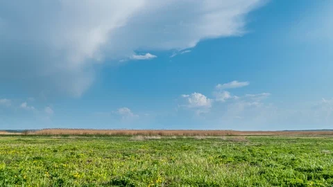 Clouds forming over green field and swamp. Spring timelapse Stock Footage 107790892