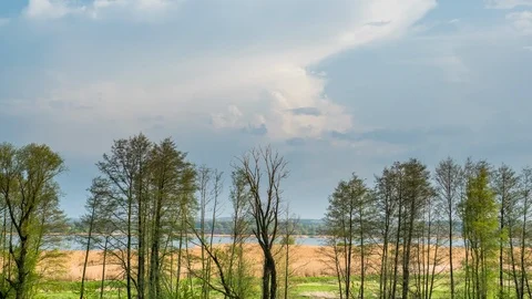 Clouds forming over trees, green field and swamp. Spring timelapse Stock-Footage 107791351