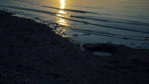 Clouds frame the sun as it sets over the horizon and the offshore wind-farm Stock Footage 94618103