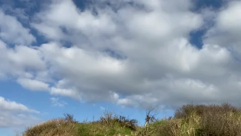 Clouds with grass Video stock 149685508