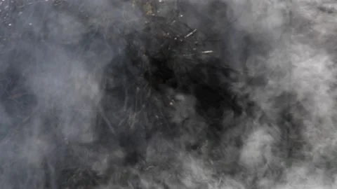 Clouds of gray smoke outdoor with stack of twigs and firewood at blurred Stock Footage 147890335