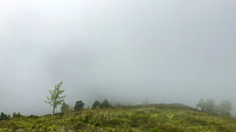 Clouds hanging low over a green mountain field Stock Footage 95913420