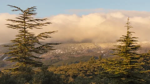 Clouds hanging on a mountain Timelapse Stock Footage 151259823