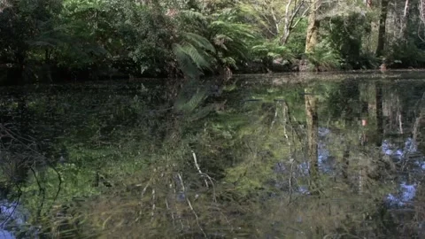 Clouds HD 動画素材 134020594