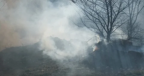 Clouds heavy smoke and fire in city park on background of blue sky Stock Footage 127189621