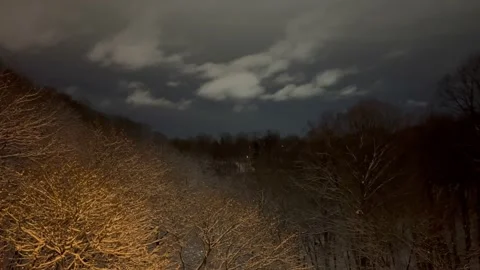 Clouds hover over wooded evening expanse Video stock 171890207