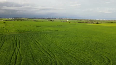 Clouds hung in the interim over the green fields. Stock Footage 236502898