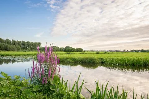 Clouds invading the sky over Dutch landscape Stock Photos