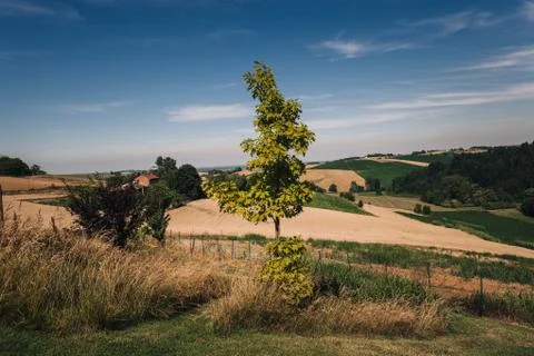 Clouds on the meadow Stock Photos