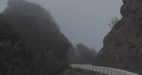 Clouds of mist are flying through trees above the mountain road Stock Footage 136114016