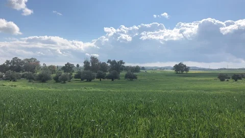 Clouds in Motion Above Rural Landscape Stock Footage 102655359
