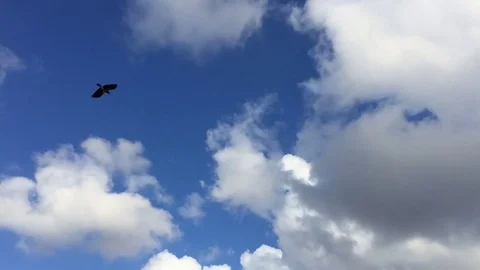 Clouds in motion Vídeos de archivo 82136734