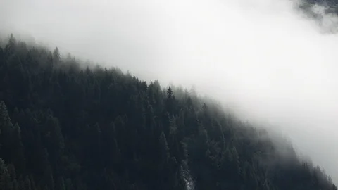 Clouds in mountains - Time Lapse Austria Forest Vidéo 114715309