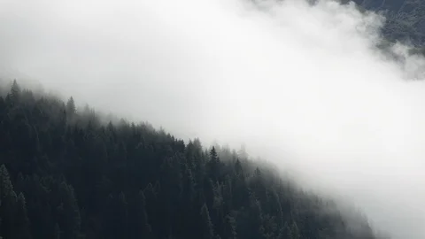 Clouds in mountains - Time Lapse Austria Forest Tilt Down Vídeo Stock 114720648