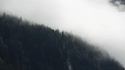 Clouds in mountains - Time Lapse Austria Forest Tilt Up Stock Footage 114726642