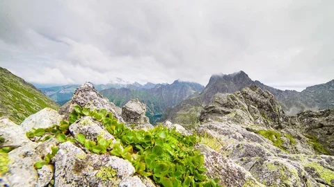 Clouds in the mountains - view from the top Stock Footage 79077963