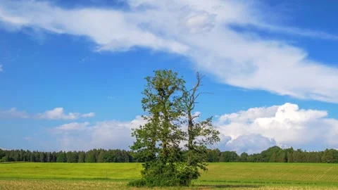 Clouds move across a blue sky, rural landscape Stock Footage 277867417