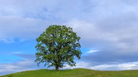 Clouds move across a blue sky, rural landscape Stock Footage 277868254