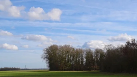 Clouds move in blue sky over green field and forest Video stock 88004945
