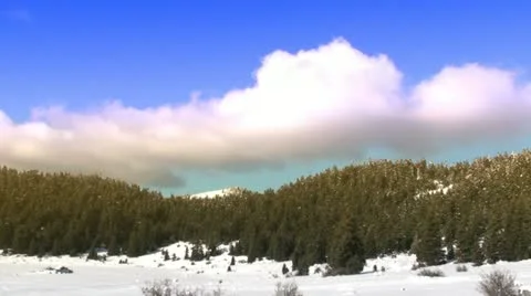 Clouds move fast above a fir forest - color 1 Stock Footage 10894219