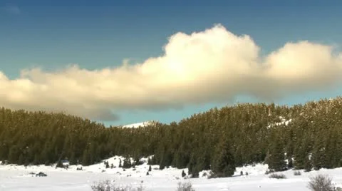 Clouds move fast above a fir forest - color 2 Vidéo 10909464