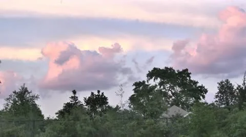 Clouds Move Past Trees Stock Footage 11886446