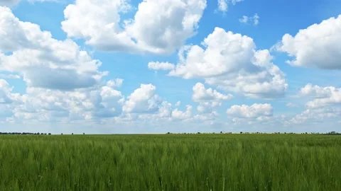 Clouds move quickly across the blue sky over a green fields Stock Footage 199480102