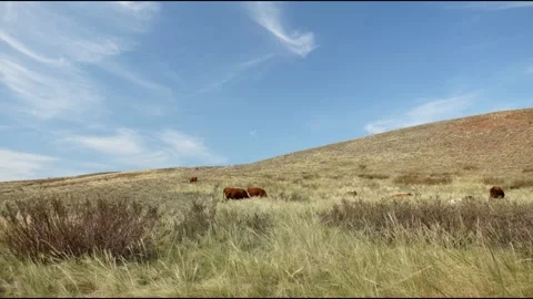 Clouds move quickly across the sky. 9 Stock Footage 130459427