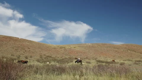 Clouds move quickly across the sky 12 Stock Footage 130459652