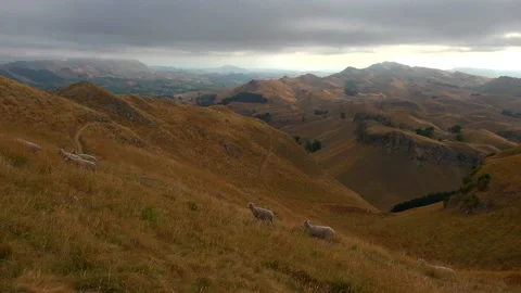Clouds move quickly over the mountains Te Mata Peak Stock Footage 131774117