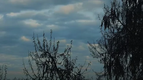 Clouds move in slow motion. Stock Footage 224236779