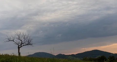 Clouds movement behind a dry tree on the mountain Stock Footage 115160582