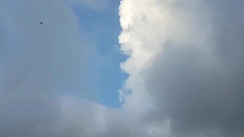 Clouds movements in a blue sky Stock Footage 172249253