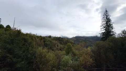 Clouds moving above forest and mountain landscape Stock-Footage 291741816