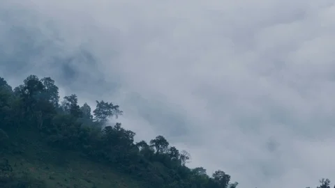 Clouds moving above forest at mountain, time lapse Stock Footage 90006482