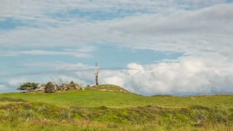 Clouds moving behind a dead tree,4k,timelapse Stock Footage 229790124