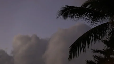 Clouds moving behind palm trees during dusk in Hawaii. Stock Footage 171520145