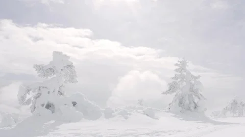 Clouds moving between beautiful frozen trees Stock Footage 86769662