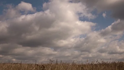 Clouds moving fast and day light changing shadows on dry grass 4K time lapse Видео 97168897