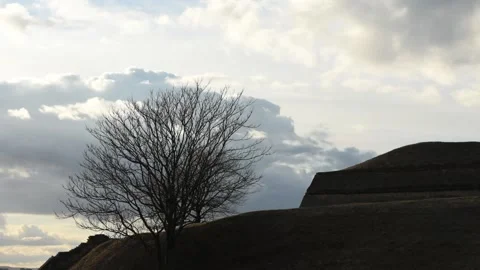 The Clouds Moving Fast In The Sunset Sky Above Tree Stock Footage 141055999