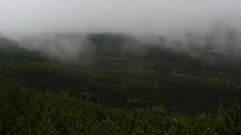 Clouds moving fast through the forest in the mountains Stock Footage 132251454