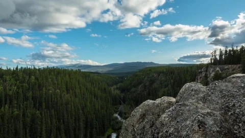 Clouds moving over coniferous trees forest in Yukon , Canada Stock Footage 75047284