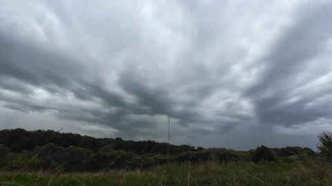 Clouds moving over a forest and a field of green grass. Time lapse. Stock-Footage 318178412