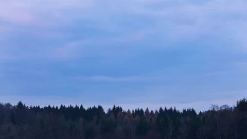 Clouds moving over a forest Stockbeeldmateriaal 83451904